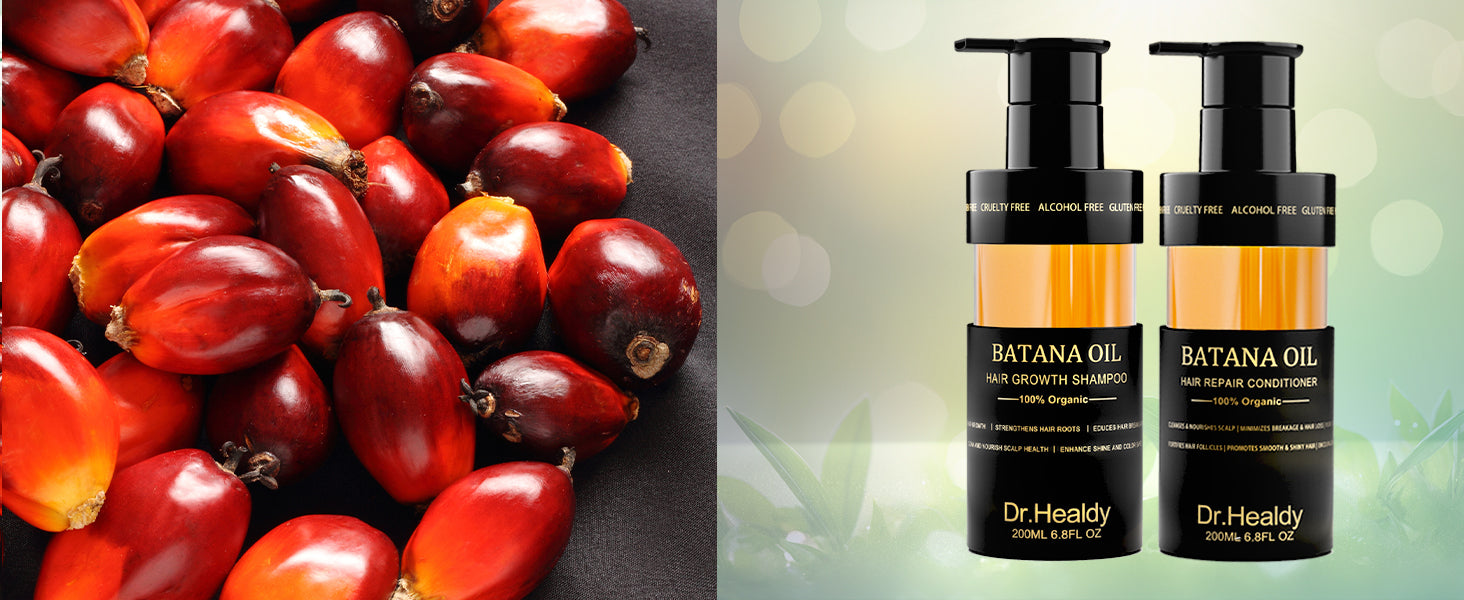 Best Shampoo and Conditioner in 2025